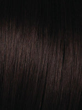 22" Fineline Straight HF Synthetic Extensions Kit (4 Piece) | Clip In