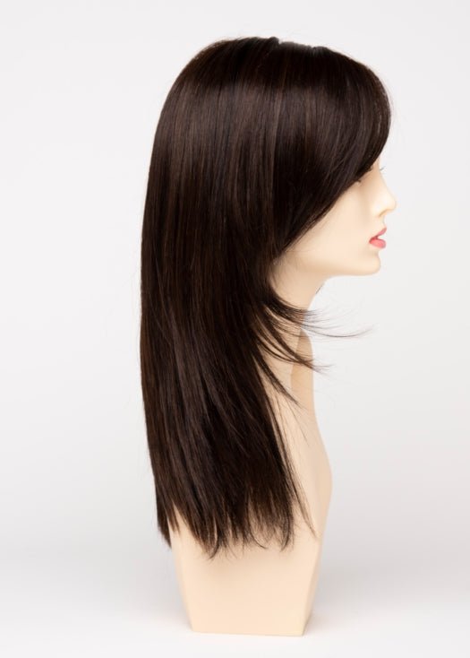 Ava | Lace Front Human Hair/ Synthetic Blend Wig