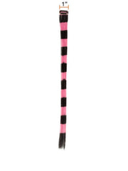 Bright Stripes Clip In Extensions | Discontinued
